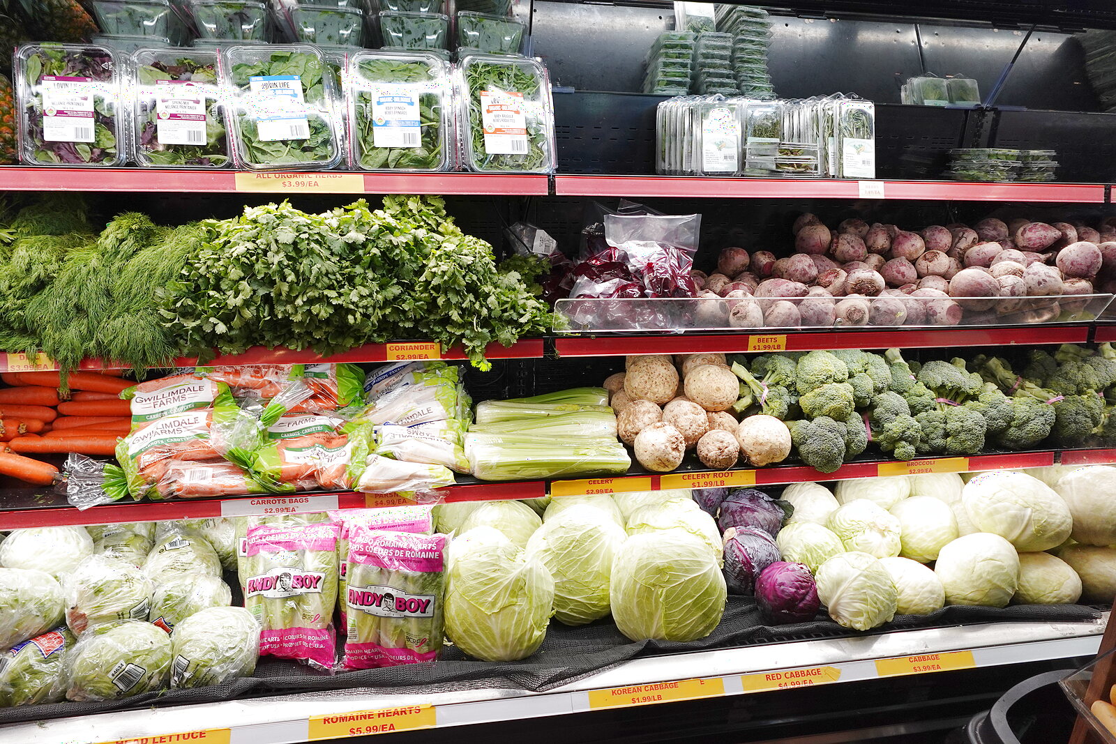 Embrace Winter Wellness: The Crucial Role of Fruits and Vegetables in Your Diet